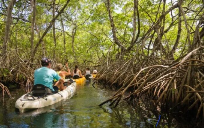 Screenshot_20240213_111339_Chrome