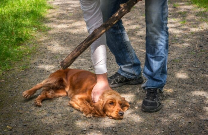 Screenshot_20240216_170359_Chrome