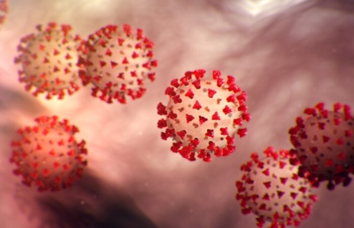 Screenshot_20240221_160507_Chrome