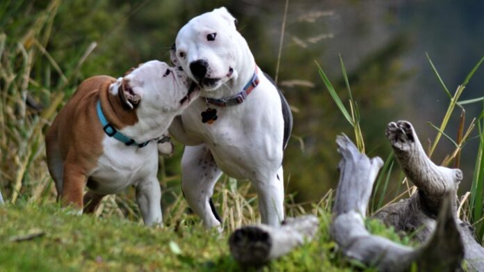 Screenshot_20240226_113652_Google