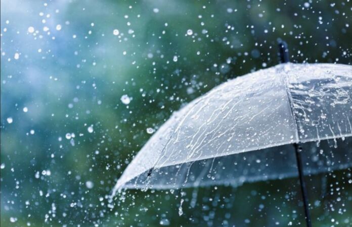 Screenshot_20240229_123512_Chrome