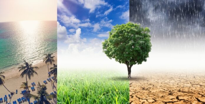 Screenshot_20240305_102757_Chrome