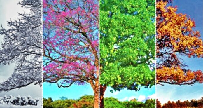 Screenshot_20240308_193552_Chrome