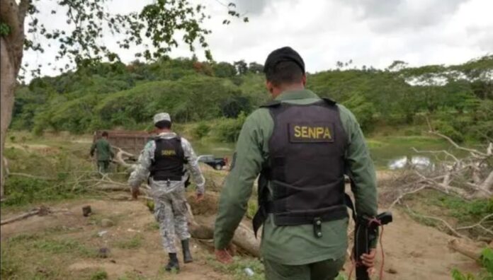 Screenshot_20240316_115805_Chrome