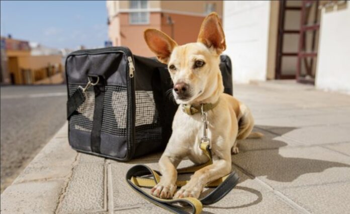 Screenshot_20240318_154130_Chrome