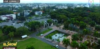 ¡cadena humana! en el jardín botánico, en defensa de la naturaleza