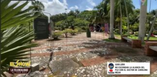 ¡no se debe tocar ni un centímetro del jardín botánico! el show del mediodía
