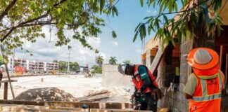 ¡polémica! jardin botánico será impactado por reforma vial