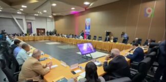 ¡viral! los candidatos presidenciales del pld