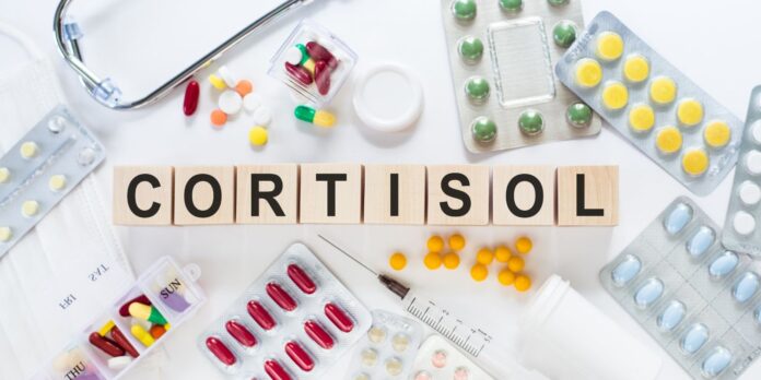 ¿qué es el cortisol y cómo entenderlo ¿qué es el cortisol y cómo entenderlo